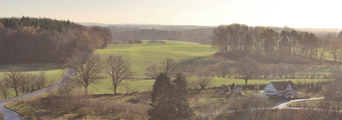 Ausblick zum Baugebiet Sonnenberg